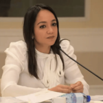Faride Raful representará a República Dominicana en la firma de iniciativa contra el tráfico ilícito de armas ante la OEA - Imagen