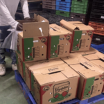 CODOPESCA Decomisa 259 Libras de Tortuga Tinglar Comercializada Ilegalmente - Imagen
