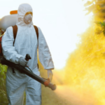 Dos hombres detenidos por fumigación en cercanías de un centro educativo en Cenoví - Imagen