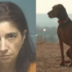 Mujer de Oklahoma arrestada por abuso sexual de un animal y distribución de material obsceno - Imagen
