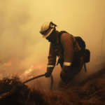 Bomberos luchan contra incendio forestal en San Pedro de Macorís - Imagen