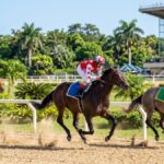 Comisión Hípica denuncia venta ilegal de Juegos virtuales, desmiente bancas deportivas - Imagen